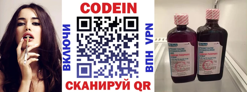 Купить закладки  Жуковский  Codein напиток Lean (лин) 