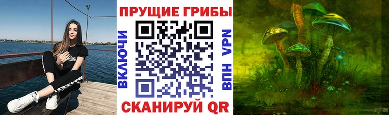 Псилоцибиновые грибы MAGIC MUSHROOMS  Купить закладки  Жуковский 